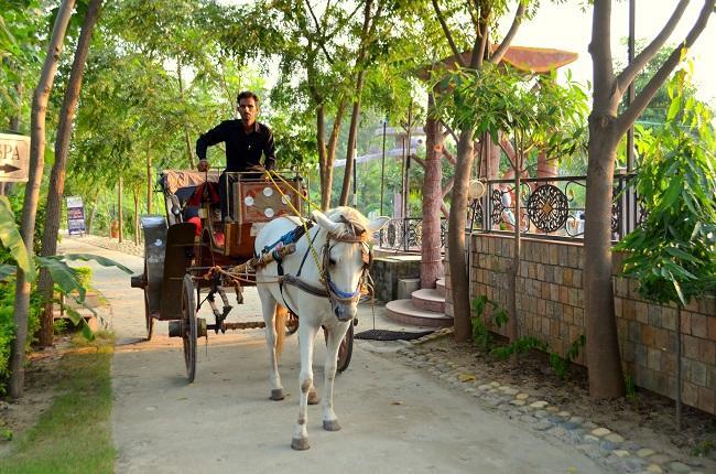 Kangs Nirvana Resorts And Spa Mahalpur Екстериор снимка